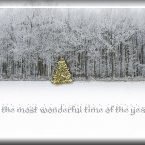 Most Wonderful Time