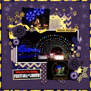 Holiday Lights