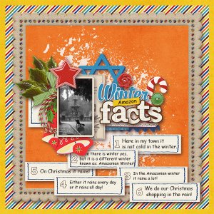 Winter Amazon Facts