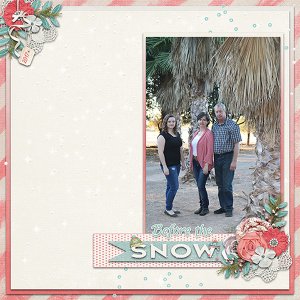 Before-the-snow-web