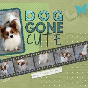Dog Gone Cute
