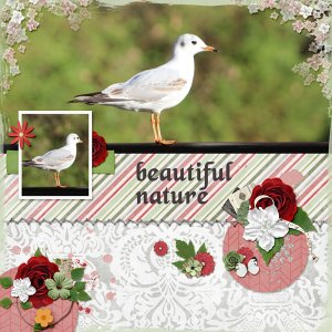 beautiful nature