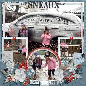 Baton Rouge Sneaux