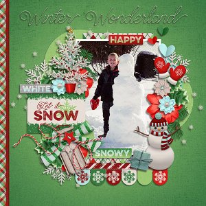 Winter Wonderland