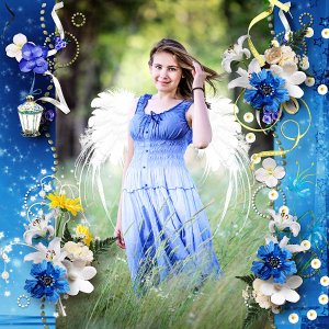 Fairy Night 2