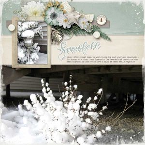 Snowfall