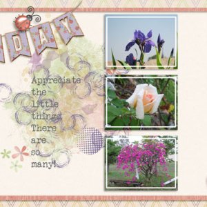 sandie03_TK Ladybug 1