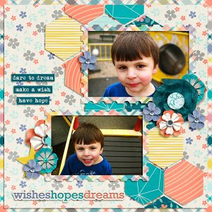 Wishes Hopes Dreams