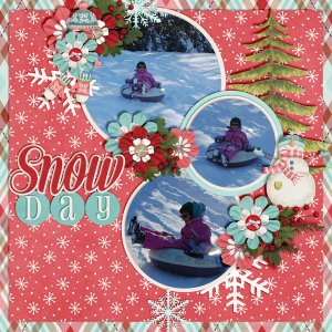 Snow-Days2