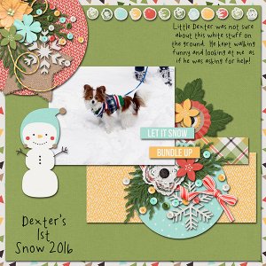 Dexter's First Snow