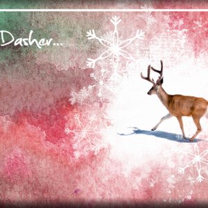 ATC 2017-196 On Dasher