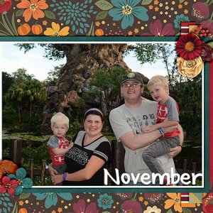 november-bootes