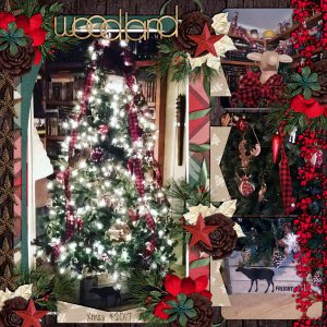 xmas tree 2017