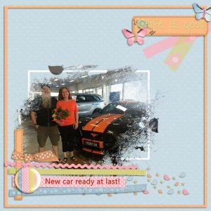sandie03_PDD Cheerful  2