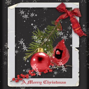 A Merry Christmas