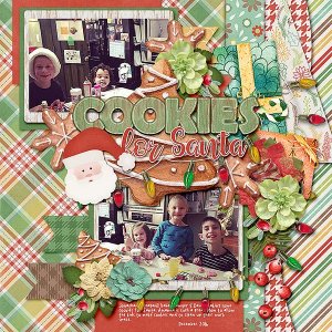 Cookies for Santa