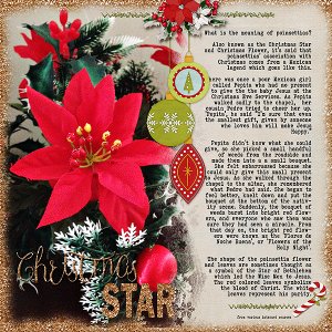 Christmas Star