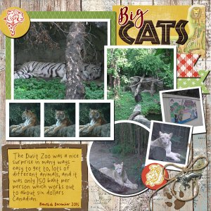 Big Cats