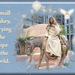 Hope of the World