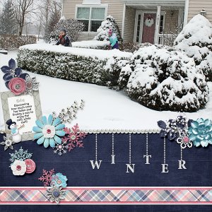 Winter