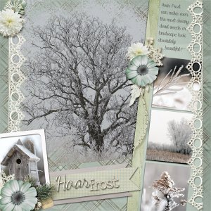 Hoar Frost