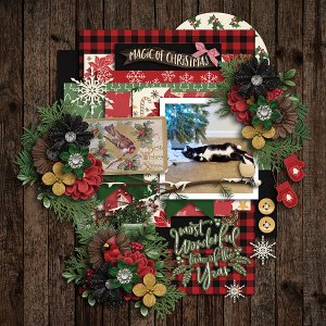 Magic of Christmas