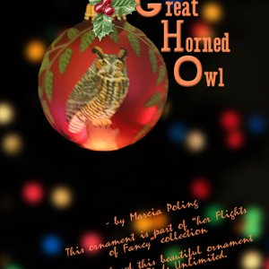 Great Horned Owl