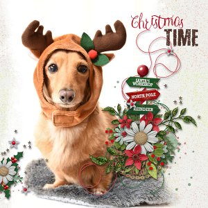Christmas Time