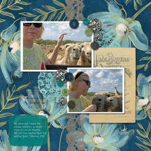 new friends