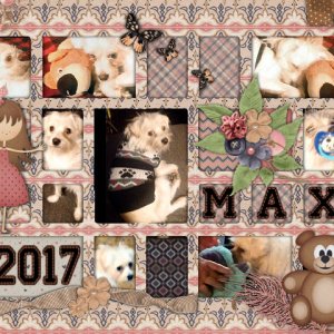 Max 2017