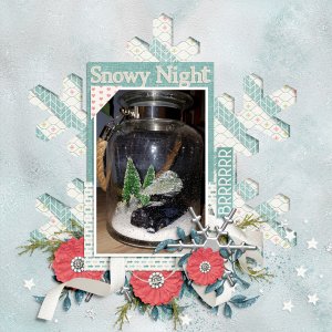 Snowy Night