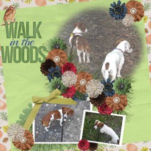Walk in the Woods