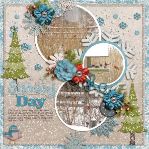 Snowy Day
