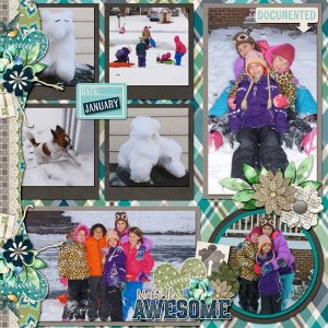 Southern Snow Day