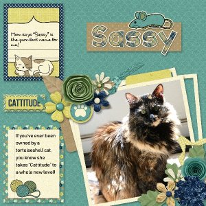 Sassy-Cat