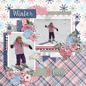 Winter Fun