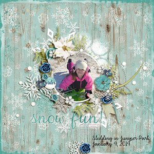 Snow Fun!