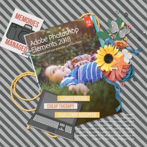 2017-10-22 Learning PSE bhs_scrapwithme