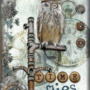 ATC 2018-001 Time Flies