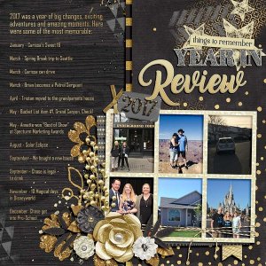 ~Year in Review~