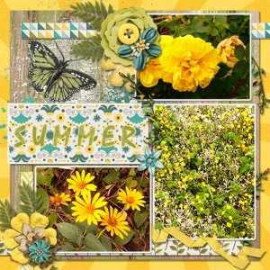Summer in Yellow+Green