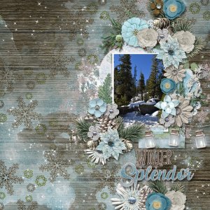Beautiful Winter