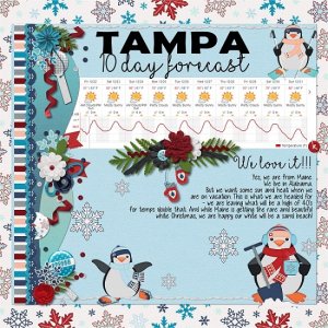 Tampa_10_day_forecast