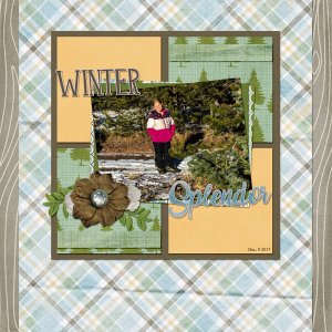 Winter Splendor