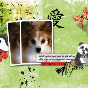 Year of the Dog