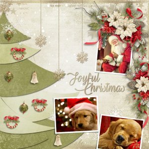 Joyful Christmas