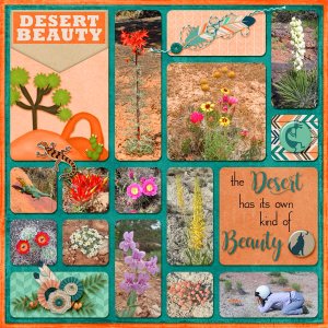 Desert Beauty