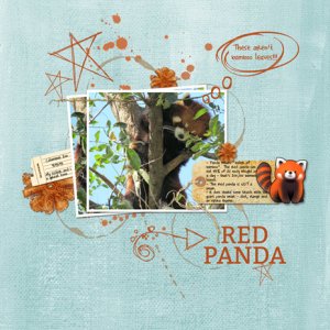 Red Panda