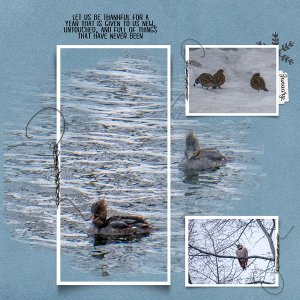 January birds