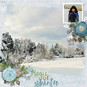 Magic of Winter